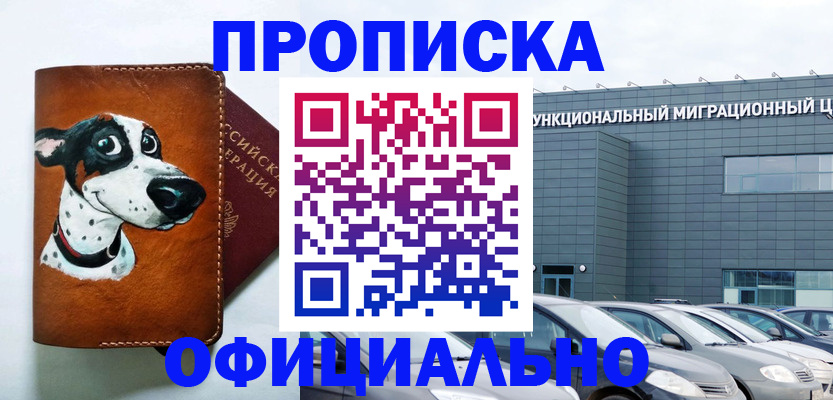 временная прописка в Тереке